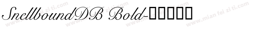 SnellboundDB Bold字体转换